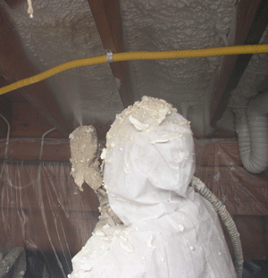 Lansing MI crawl space insulation